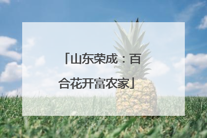 山东荣成：百合花开富农家