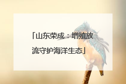 山东荣成：增殖放流守护海洋生态