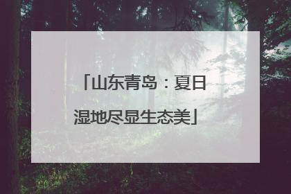 山东青岛：夏日湿地尽显生态美