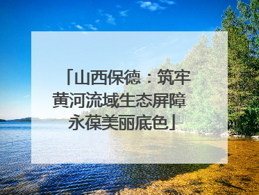 山西保德：筑牢黄河流域生态屏障 永葆美丽底色