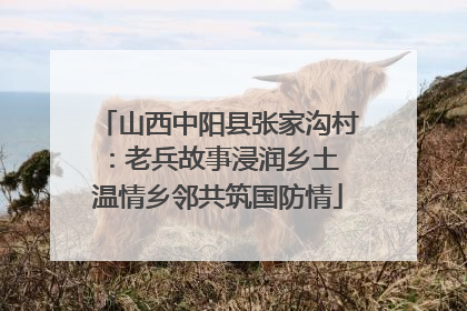 山西中阳县张家沟村：老兵故事浸润乡土 温情乡邻共筑国防情