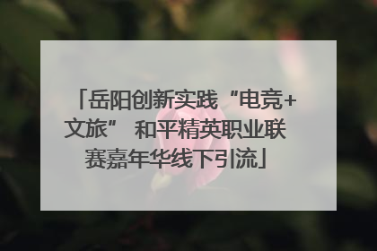 岳阳创新实践“电竞+文旅” 和平精英职业联赛嘉年华线下引流