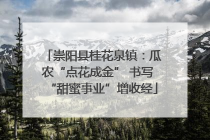 崇阳县桂花泉镇：瓜农“点花成金” 书写“甜蜜事业”增收经
