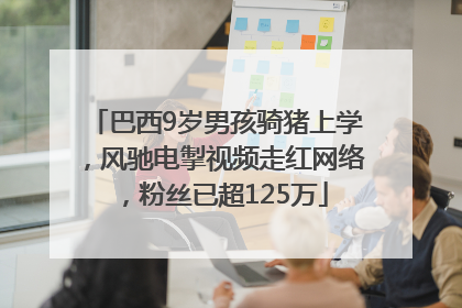 巴西9岁男孩骑猪上学，风驰电掣视频走红网络，粉丝已超125万