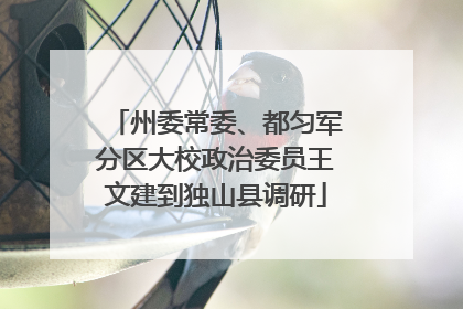州委常委、都匀军分区大校政治委员王文建到独山县调研