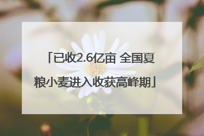 已收2.6亿亩 全国夏粮小麦进入收获高峰期