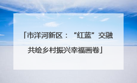 市洋河新区：“红蓝”交融 共绘乡村振兴幸福画卷