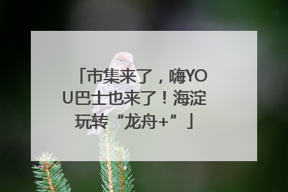 市集来了，嗨YOU巴士也来了！海淀玩转“龙舟+”