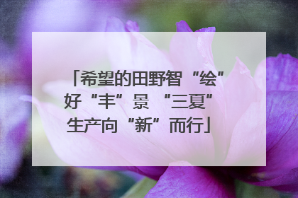 希望的田野智“绘”好“丰”景 “三夏”生产向“新”而行