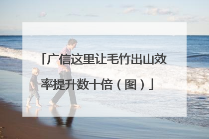 广信这里让毛竹出山效率提升数十倍（图）
