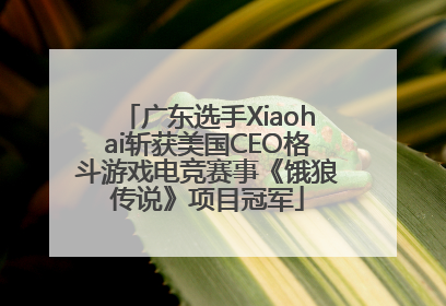 广东选手Xiaohai斩获美国CEO格斗游戏电竞赛事《饿狼传说》项目冠军