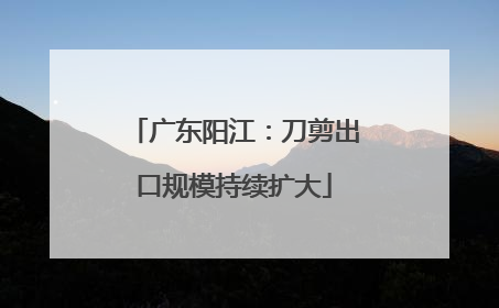 广东阳江：刀剪出口规模持续扩大