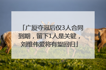 广厦夺冠后仅3人合同到期,留下1人是关键,刘维伟爱将有望回归