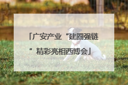 广安产业“建圈强链”精彩亮相西博会