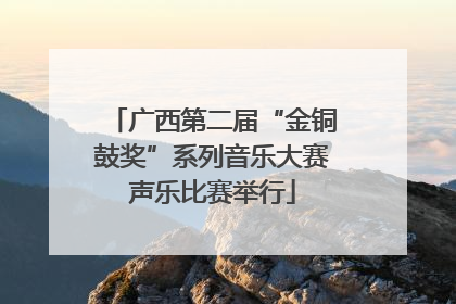 广西第二届“金铜鼓奖”系列音乐大赛声乐比赛举行