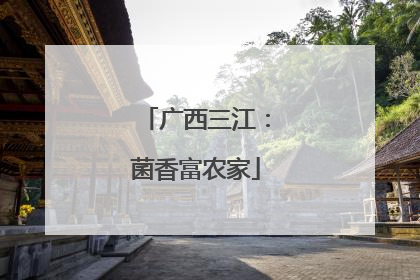 广西三江：菌香富农家