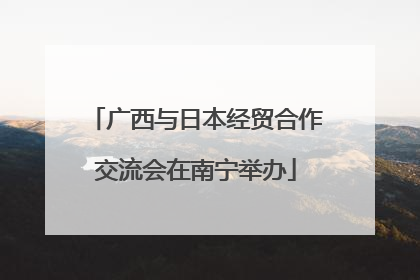 广西与日本经贸合作交流会在南宁举办