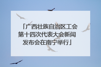 广西壮族自治区工会第十四次代表大会新闻发布会在南宁举行