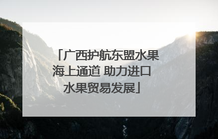 广西护航东盟水果海上通道 助力进口水果贸易发展
