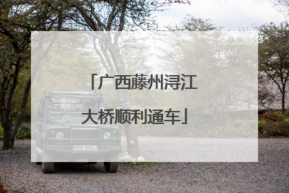 广西藤州浔江大桥顺利通车