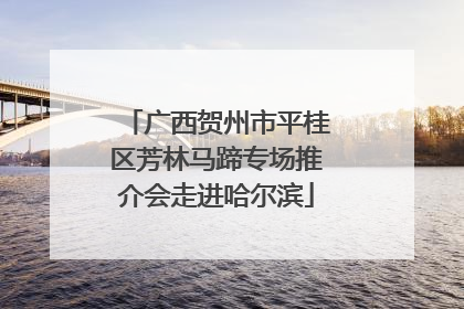 广西贺州市平桂区芳林马蹄专场推介会走进哈尔滨