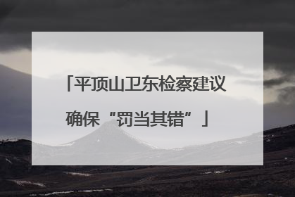 平顶山卫东检察建议确保“罚当其错”