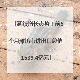 延续增长态势！前5个月潍坊市进出口总值1539.4亿元