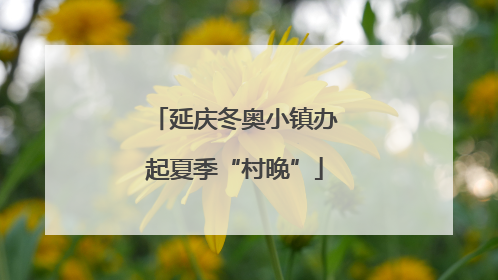 延庆冬奥小镇办起夏季“村晚”
