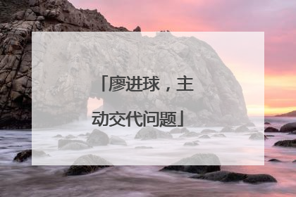 廖进球，主动交代问题