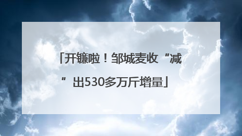 开镰啦！邹城麦收“减”出530多万斤增量