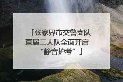 张家界市交警支队直属二大队全面开启“静音护考”