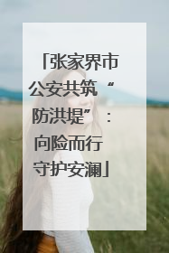 张家界市公安共筑“防洪堤”：向险而行 守护安澜