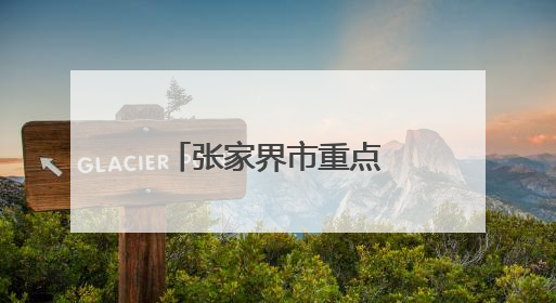 张家界市重点招商引资项目调度会召开