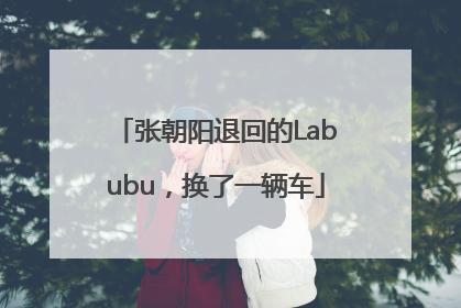 张朝阳退回的Labubu，换了一辆车