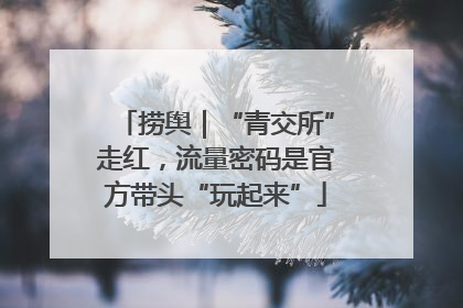 捞舆｜“青交所”走红，流量密码是官方带头“玩起来”