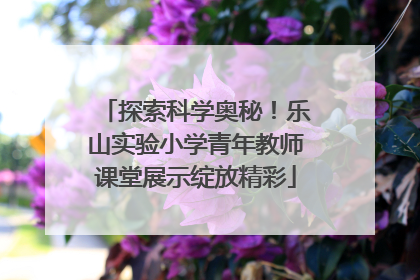 探索科学奥秘！乐山实验小学青年教师课堂展示绽放精彩