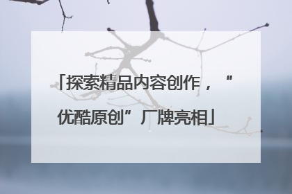 探索精品内容创作，“优酷原创”厂牌亮相