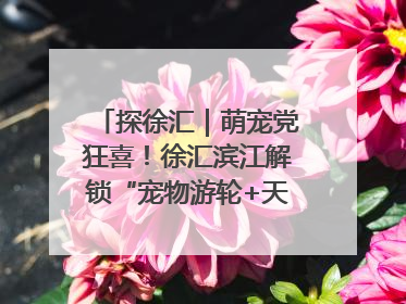 探徐汇｜萌宠党狂喜！徐汇滨江解锁“宠物游轮+天台乐园”双玩法