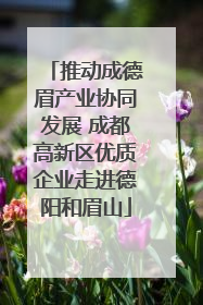 推动成德眉产业协同发展 成都高新区优质企业走进德阳和眉山