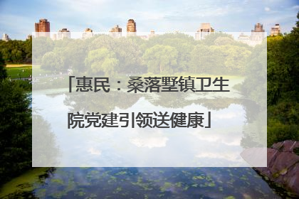 惠民：桑落墅镇卫生院党建引领送健康