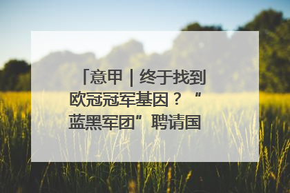 意甲｜终于找到欧冠冠军基因？“蓝黑军团”聘请国米名宿齐沃执教