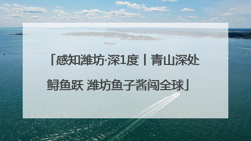 感知潍坊·深1度丨青山深处鲟鱼跃 潍坊鱼子酱闯全球