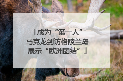 成为“第一人” 马克龙到访格陵兰岛展示“欧洲团结”