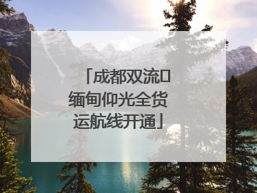 成都双流⇌缅甸仰光全货运航线开通