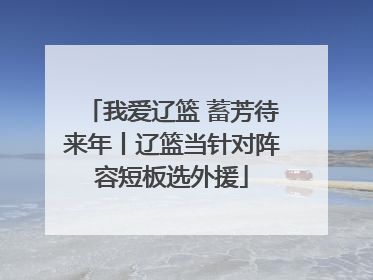 我爱辽篮 蓄芳待来年丨辽篮当针对阵容短板选外援