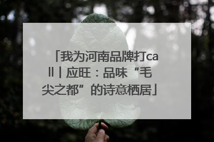我为河南品牌打call丨应旺：品味“毛尖之都”的诗意栖居