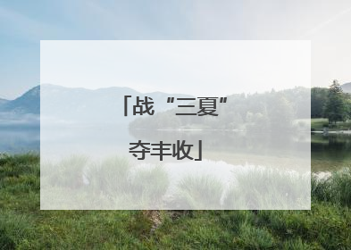 战“三夏” 夺丰收