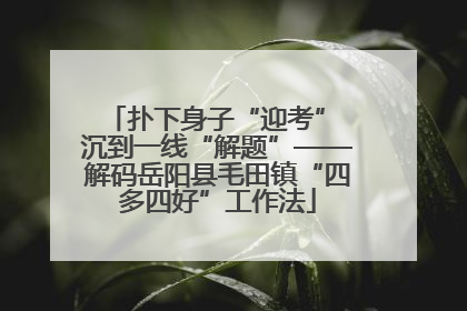 扑下身子“迎考” 沉到一线“解题”——解码岳阳县毛田镇“四多四好”工作法