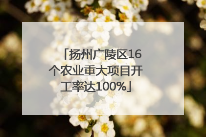 扬州广陵区16个农业重大项目开工率达100%