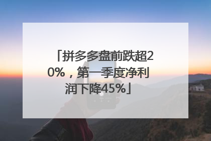 拼多多盘前跌超20%，第一季度净利润下降45%